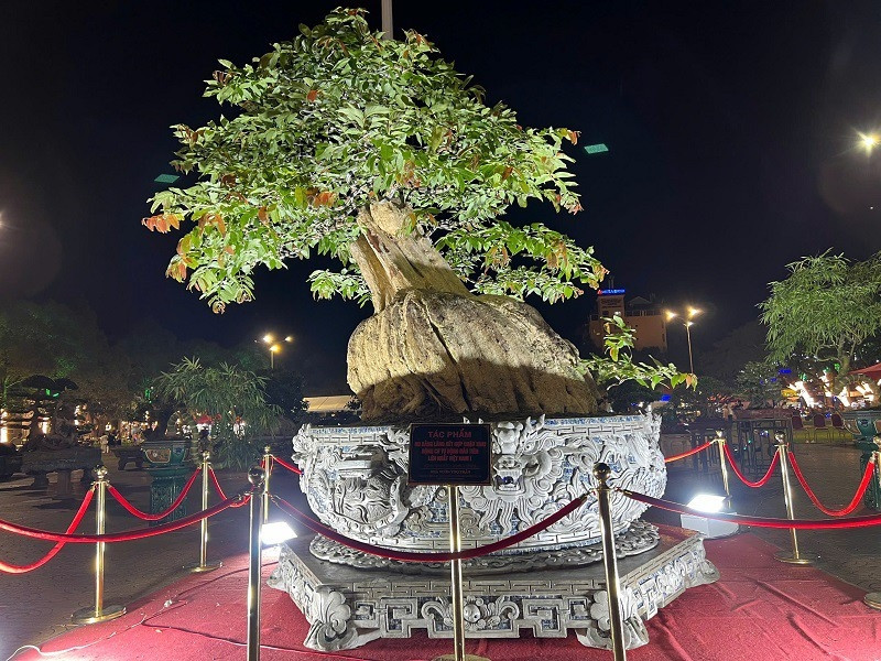 Đặc biệt, tác phẩm bằng lăng 200 tuổi còn được đặt trong chiếc chậu tích hợp hệ thống xoay tự động bằng động cơ điện, giúp điều chỉnh được cả tốc độ lẫn hướng xoay. Ảnh: Người đưa tin