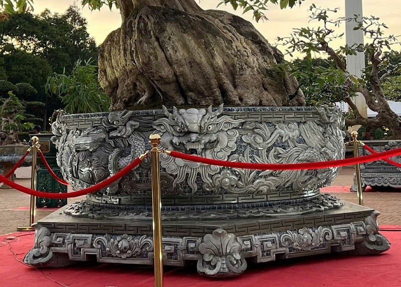 Chi phí làm chiếc chậu hết khoảng 200 triệu đồng. Ảnh: Người đưa tin