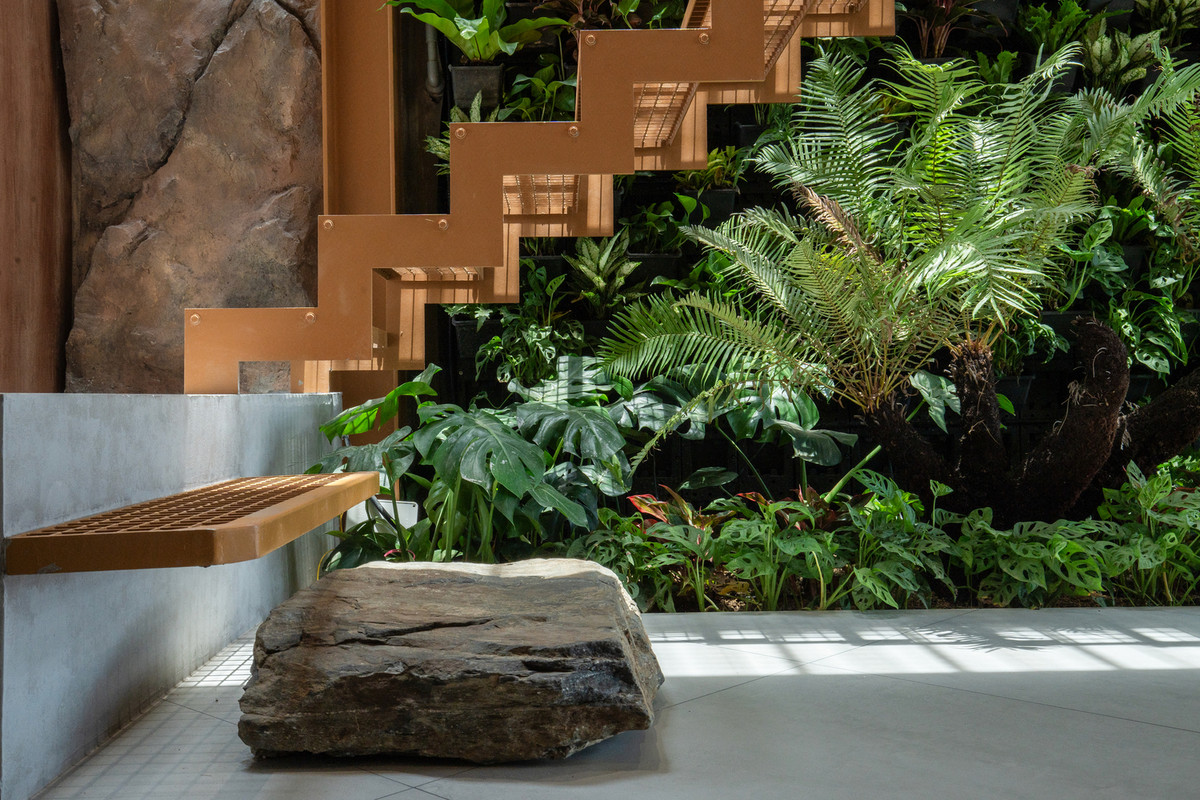 Một bức tường xanh liên tục trải dài từ tầng trệt lên đến mái nhà, mở rộng mảng xanh theo chiều dọc và cải thiện chất lượng không khí trong nhà. Ảnh: Tô Hữu Dũng