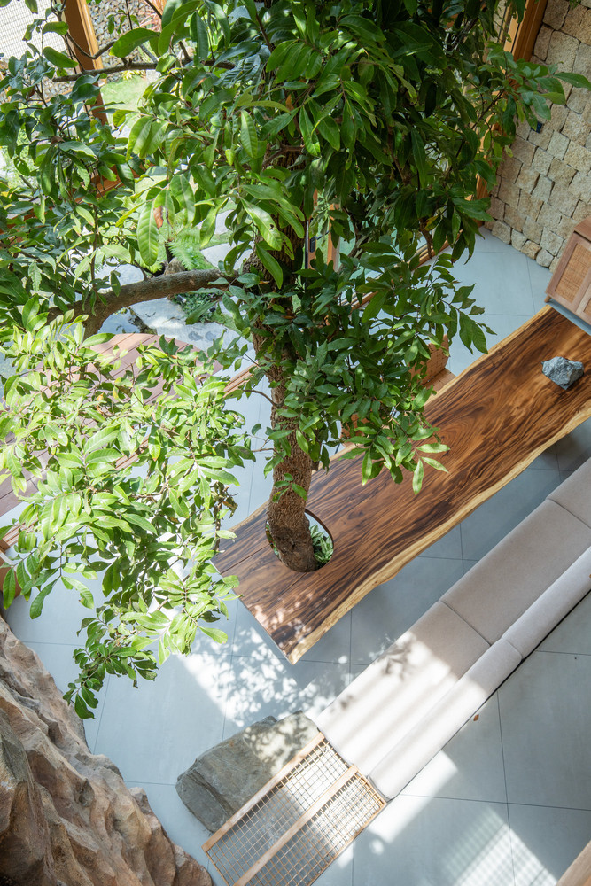 Cây trưởng thành được trồng một cách chiến lược để đón ánh sáng mặt trời nhưng vẫn giữ được cảm giác gần gũi với thiên nhiên. Ảnh: Tô Hữu Dũng