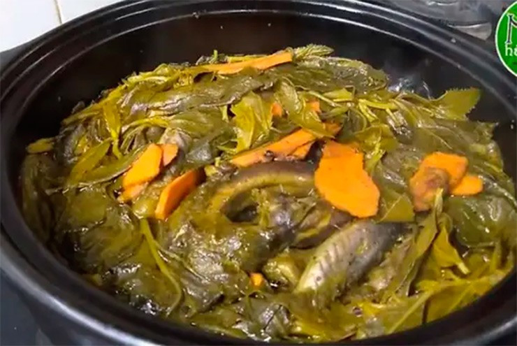 Ngoài ra, lá và ngọn non của cây cúc tần còn dùng để xào, nấu canh, hầm óc heo...Ảnh: Internet