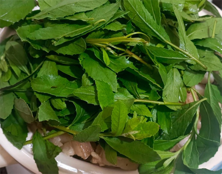 Ngày nay, cúc tần trở thành đặc sản được bán trên chợ mạng với giá khoảng 50.000 đồng/kg. Ảnh: Internet