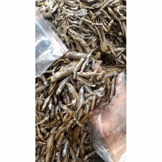 Trên chợ mạng, cá tép dầu tươi và khô được nhiều địa chỉ rao bán, trong đó cá tép dầu khô lên tới 300.000 đồng/kg. Ảnh: Internet