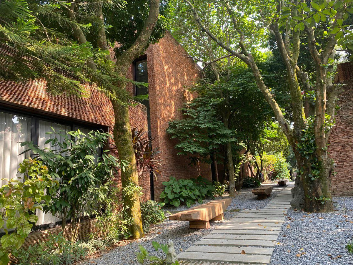 Góc vườn bình yên ngập tràn nắng gió và cây xanh. Ảnh: FB Xuân Hinh