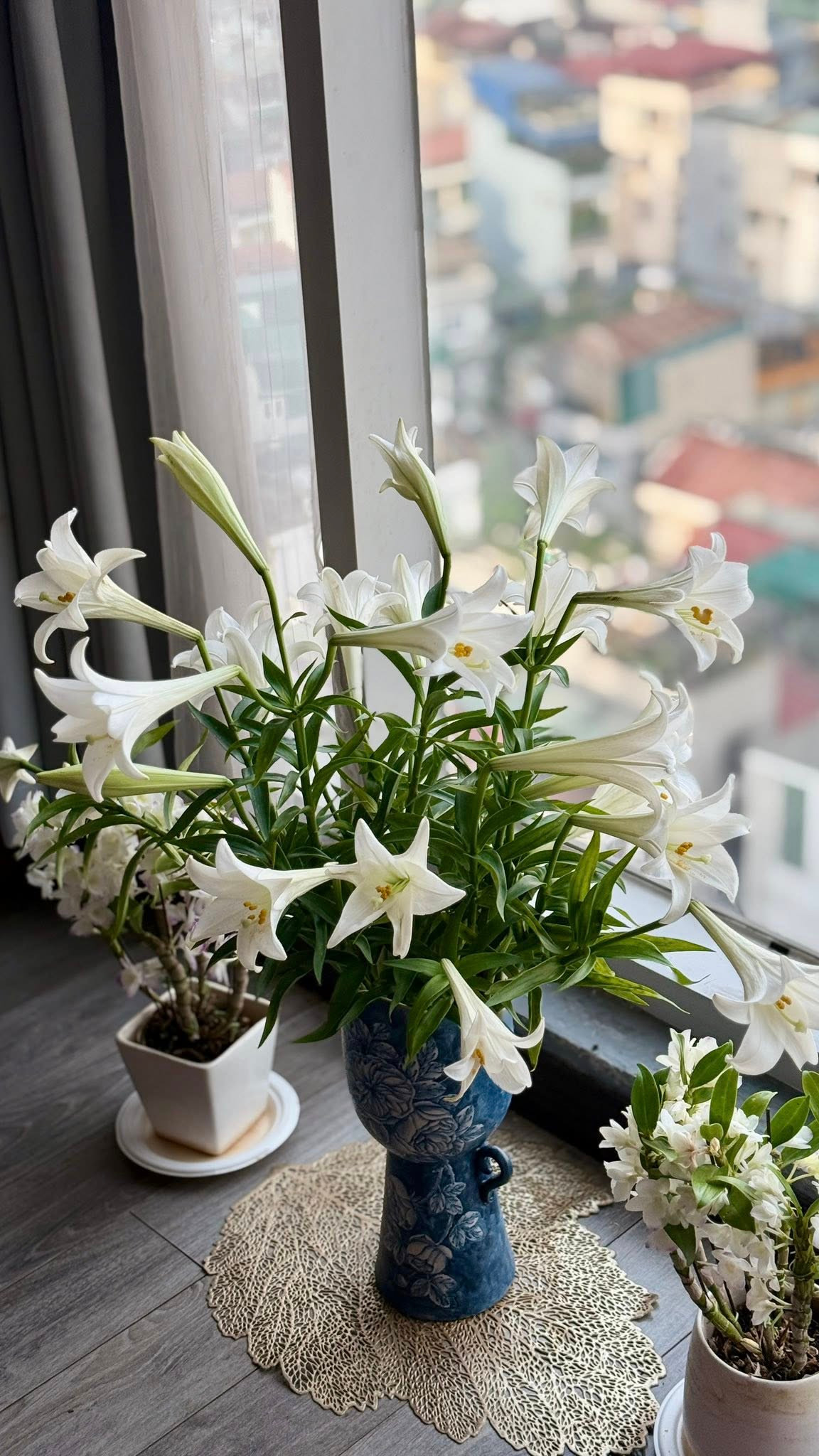 Mùa hoa loa kèn rất ngắn nên nữ MC cắm liên tục cho đến khi cạn những bông kèn cuối vụ. Ảnh: FB Trang Hoàng