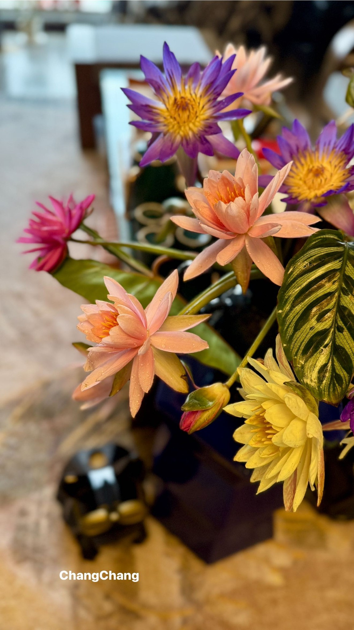 Gần đây, Hoàng Trang còn mê cắm hoa súng. Ảnh: FB Trang Hoàng