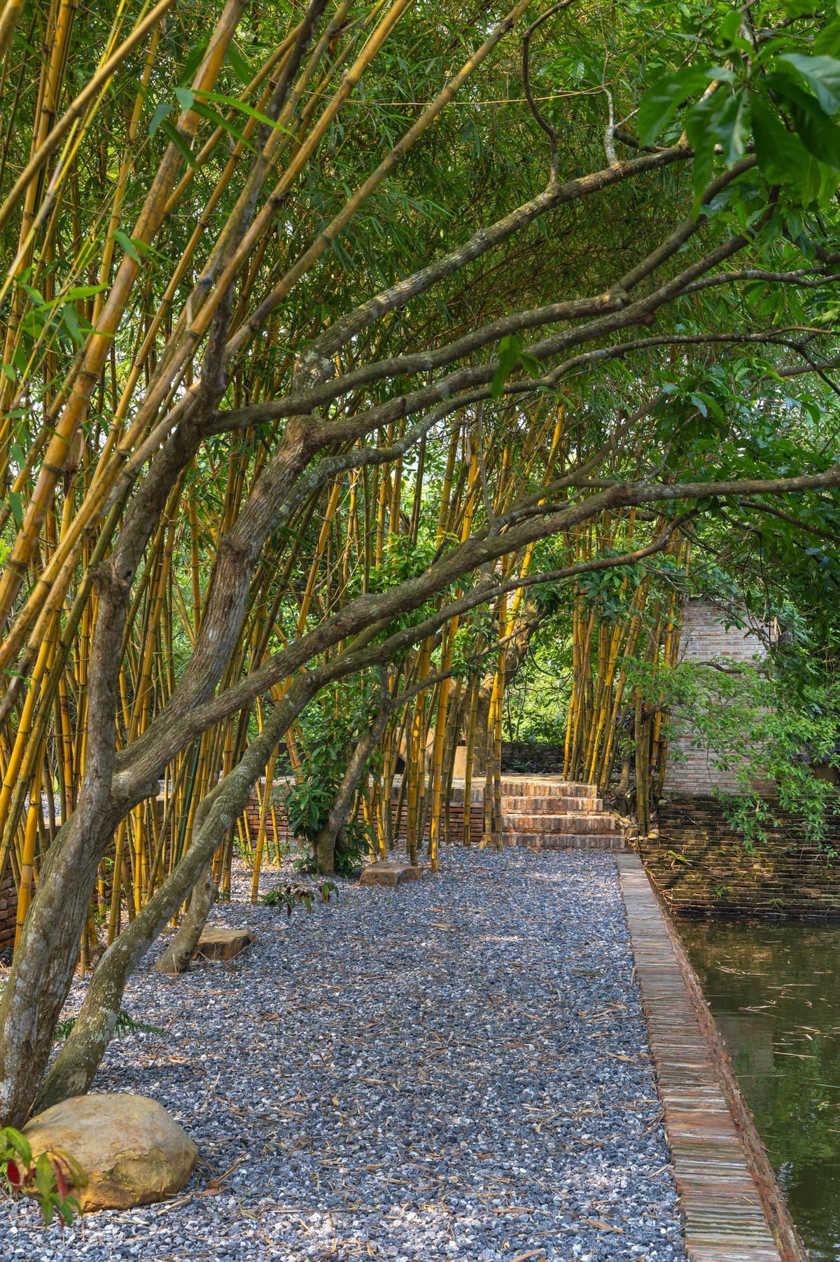 Hàng như tre rủ bóng bên hồ nước tạo không gian thanh bình., đậm chất làng quê Việt. Ảnh: FB Xuân Hinh