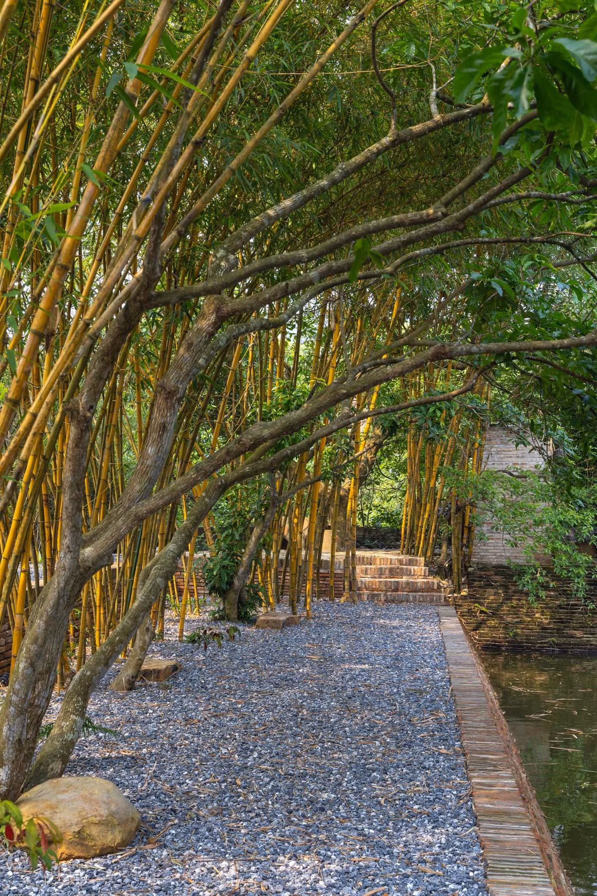 Hàng như tre rủ bóng bên hồ nước tạo không gian thanh bình., đậm chất làng quê Việt. Ảnh: FB Xuân Hinh