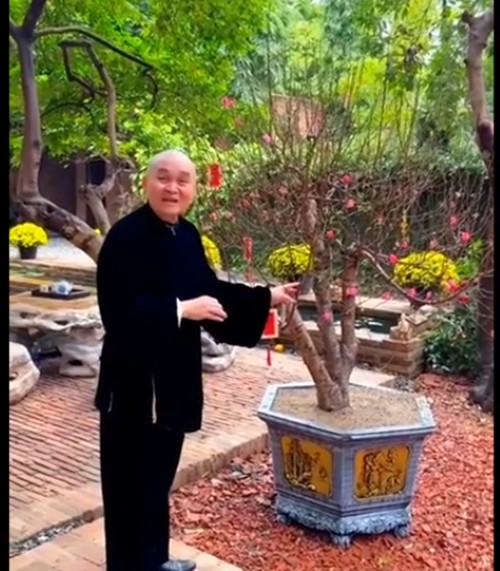 Ngoài quất, nghệ sĩ Xuân Hinh còn tậu một cây đào xinh xắn. Ảnh: chụp màn hình