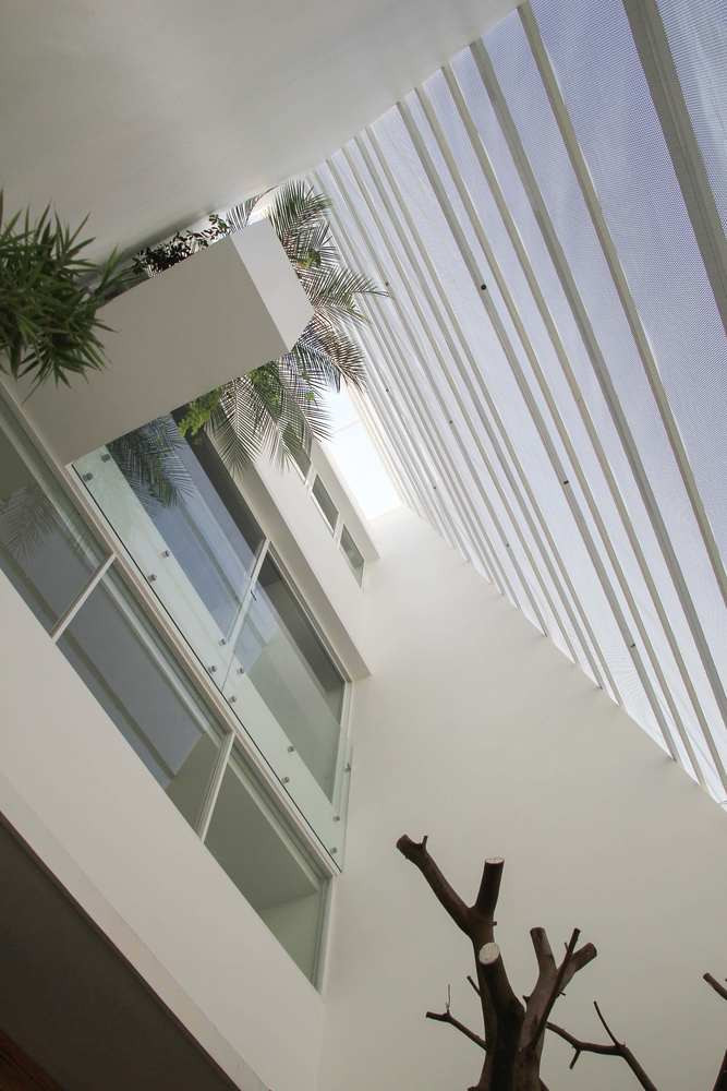 Điểm đặc biệt trong ngôi nhà là không cửa sổ nào tiếp xúc trực tiếp với không gian bên ngoài. Ảnh: TaDalat Design