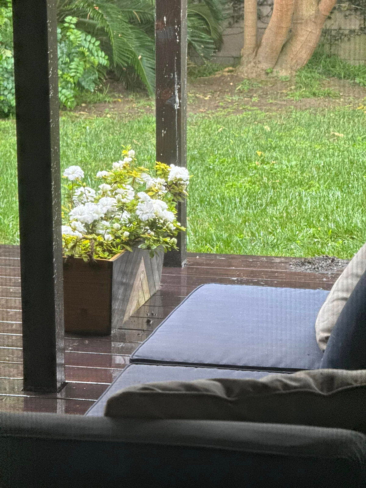 Góc thưởng trà, cà phê thư giãn, phóng tầm mắt ra thảm cỏ xanh mướt. Ảnh: FB Kim Hien