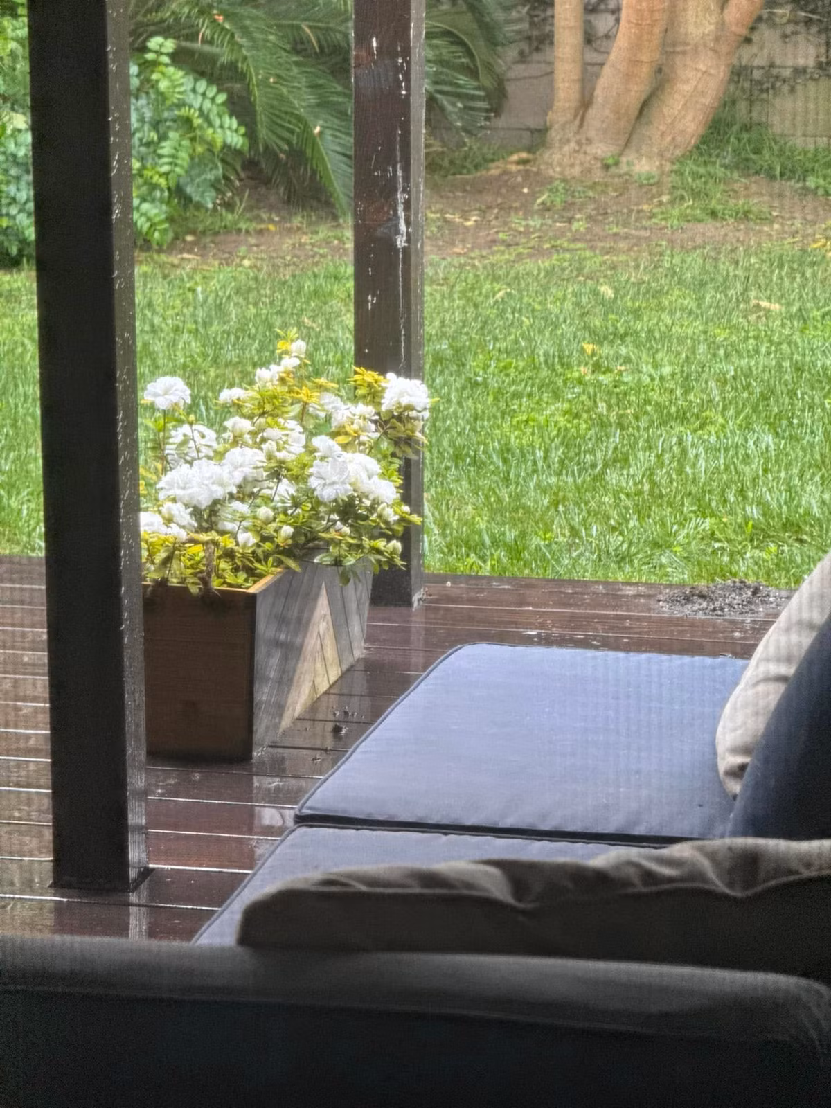 Góc thưởng trà, cà phê thư giãn, phóng tầm mắt ra thảm cỏ xanh mướt. Ảnh: FB Kim Hien