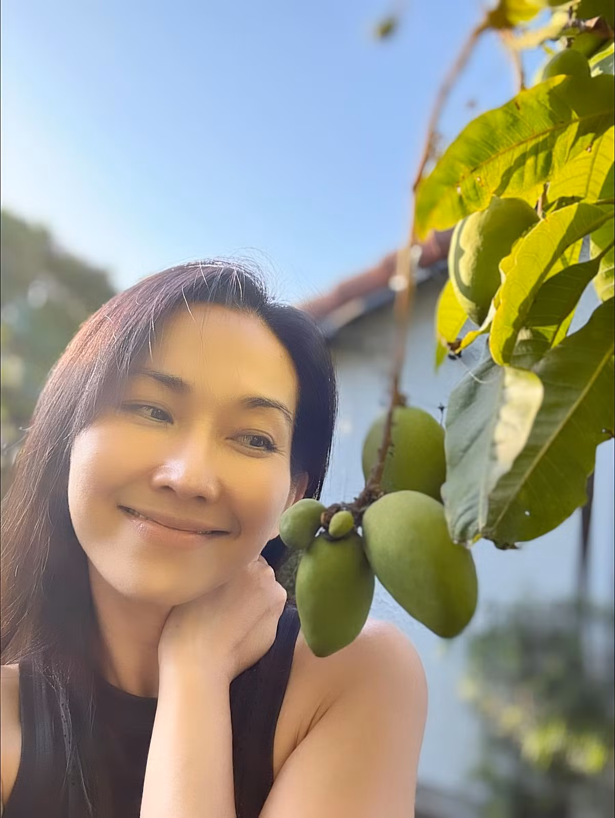 "Út Ráng" Kim Hiền cho biết, nhìn thấy trong khu vườn nhỏ có trái là đủ năng lượng. Ảnh: FB Kim Hien