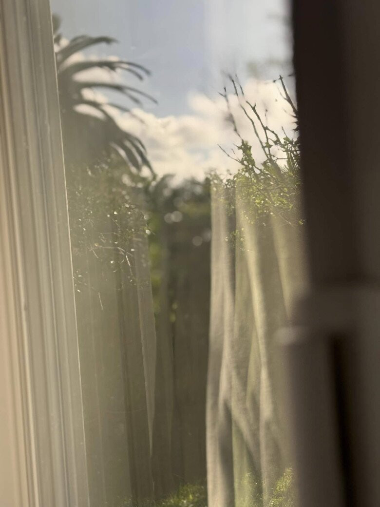 Khung cửa sổ mộng mơ, ánh nắng xuyên qua tấm rèm mỏng, phản chiếu hình ảnh khu vườn đầy chất thơ, đẹp tự cổ tích. Ảnh: FB Kim Hien