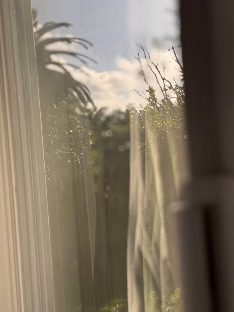 Khung cửa sổ mộng mơ, ánh nắng xuyên qua tấm rèm mỏng, phản chiếu hình ảnh khu vườn đầy chất thơ, đẹp tự cổ tích. Ảnh: FB Kim Hien