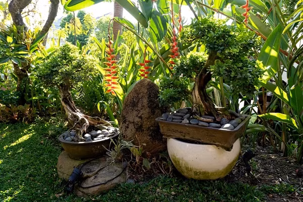 Mỗi năm, Hà Kiều Anh và ông xã doanh nhân sẽ trồng những loại cây mới trong vườn nhà. Ảnh: Leon/Ngoisao