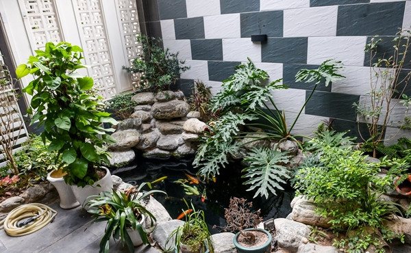 Trong khuôn viên sân vườn có tiểu cảnh và bể cá Koi. Ảnh: Vietnamnet