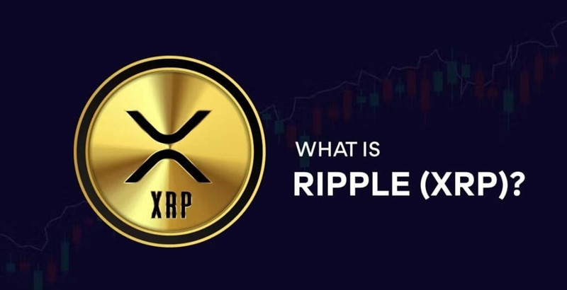 XRP là loại tiền tệ được tạo ra và hỗ trợ bởi công ty Ripple Labs. XRP được tạo ra vào năm 2012 và cung cấp một giải pháp thanh toán cho nhiều loại tiền tệ thực tế khác nhau. Ảnh: ViMoney