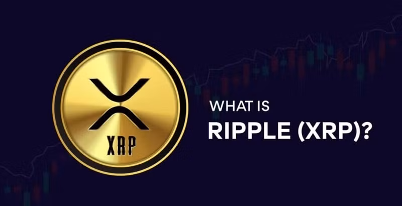 XRP là loại tiền tệ được tạo ra và hỗ trợ bởi công ty Ripple Labs. XRP được tạo ra vào năm 2012 và cung cấp một giải pháp thanh toán cho nhiều loại tiền tệ thực tế khác nhau. Ảnh: ViMoney