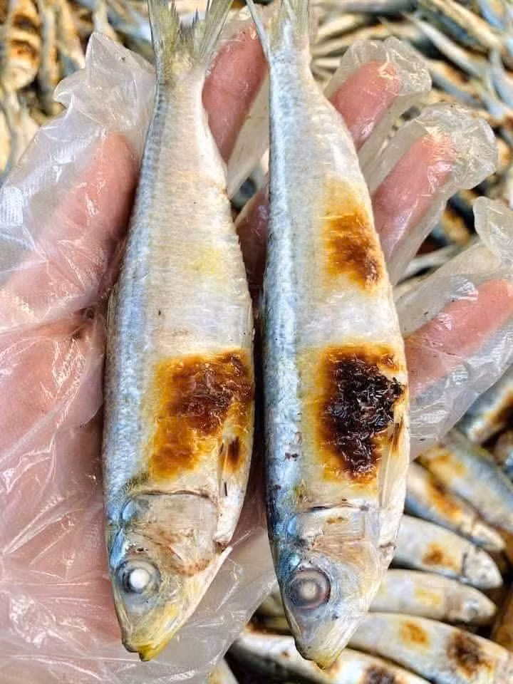 Cá trích được bán trên thị trường có nhiều loại bao gồm cá trích tươi, cá trích đông lạnh, cá trích nướng, cá trích phile, cá trích khô... Ảnh: Facebook