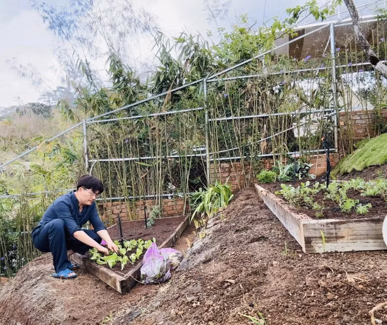 Các luống rau được thiết kế gọn gàng, bao quanh là ván gỗ. Ảnh: FBNV
