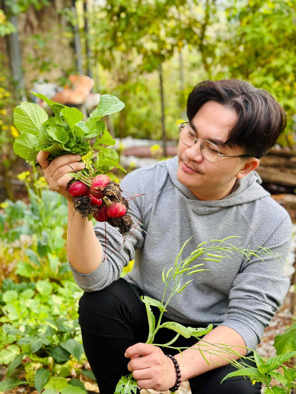 Củ cải đỏ bắt đã cho thu hoạch. Ảnh: FBNV