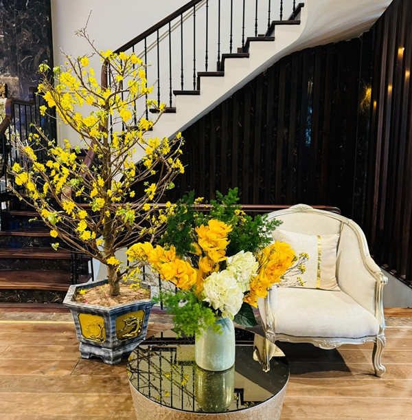 Chậu mai vàng khoe sắc. Ảnh: Vietnamnet