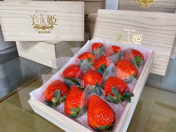 "Dâu tây công chúa" lớn nhất có kích thước bằng một quả bóng tennis và nặng khoảng 100 gram. Tuy nhiên, kích thước không làm cho "dâu tây công chúa" trở nên đặc biệt. Ảnh: Random Times