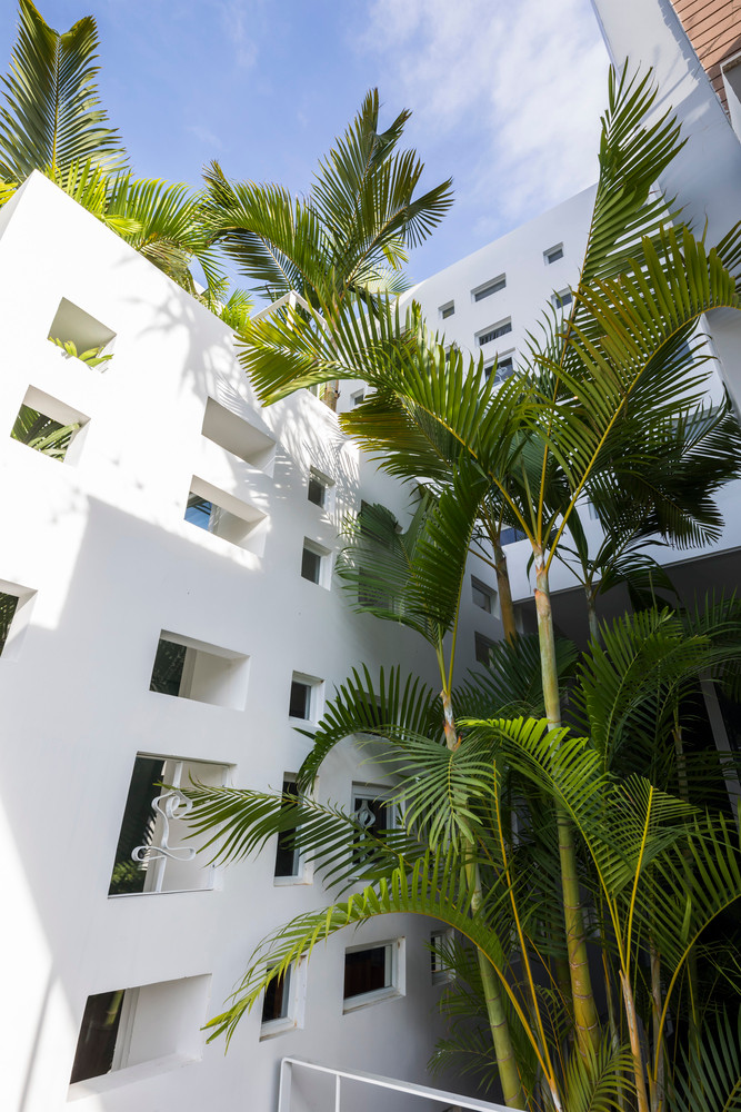 Nhà phố thông thường thường tận dụng tối đa diện tích đất để xây kín cho không gian bên trong thêm rộng rã, song công trình này được xử lý một cách mới mẻ hơn. Ảnh: Hiroyuki Oki