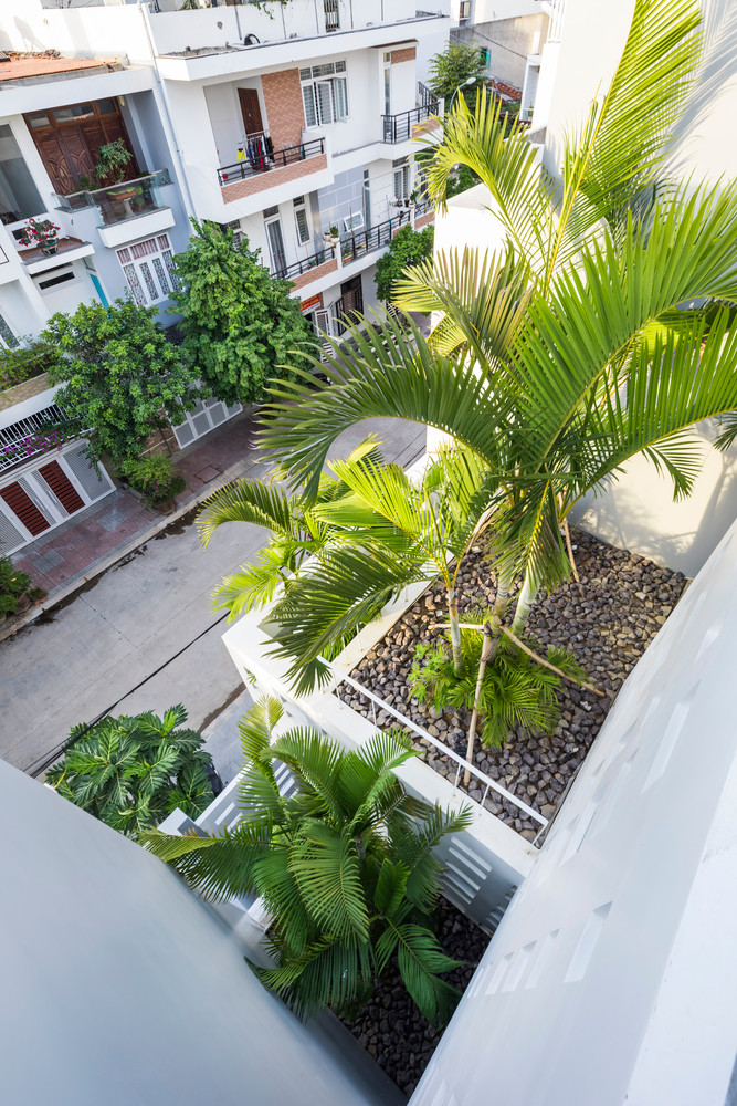 Ngoài ra, công trình còn trừ một phần đất phía trước, phía sau, bên hông để trồng cây tạo sự cân bằng cho cuộc sống. Ảnh: Hiroyuki Oki