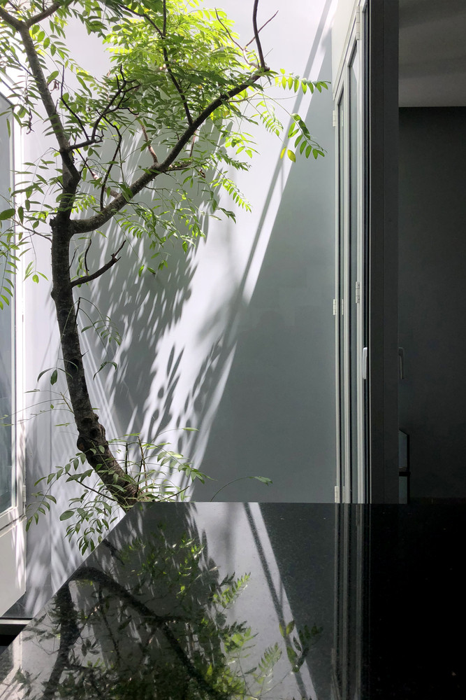 Ánh nắng len lỏi vào từng góc. Ảnh: Hiroyuki Oki