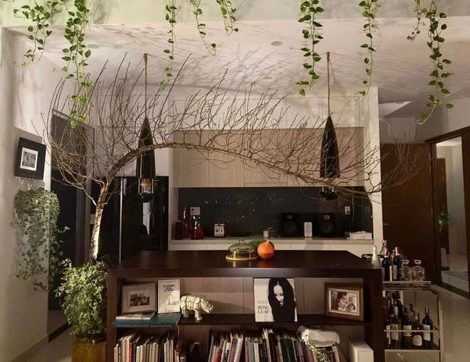 Trong phòng khách, diva Hồng Nhung bài trí nhiều cây xanh để tạo điểm nhấn. Ảnh: FBNV