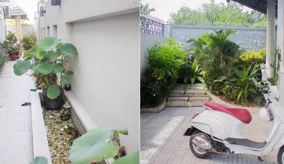 Khoảng sân rộng rãi được nam nghệ sĩ tận dụng để trồng sen, cây cảnh và trang trí thêm một số chậu hoa. Ảnh: NSCC