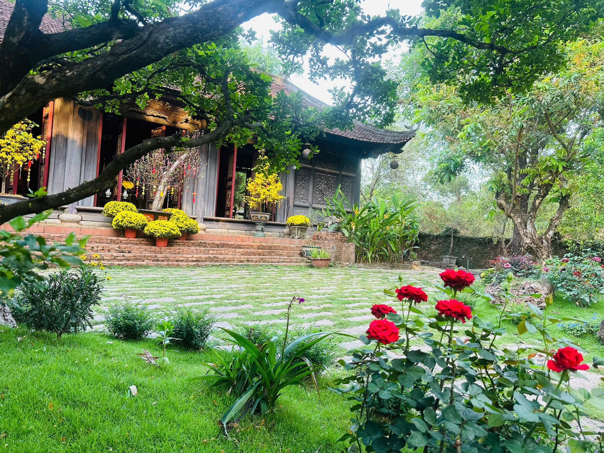 Biệt phủ của Hoàng Mập tràn ngập cây xanh và đều do chính nam danh hài cùng người thân trong nhà tự tay trồng, chăm sóc, vun xới. Ảnh: FB Hoàng Minh Bùi