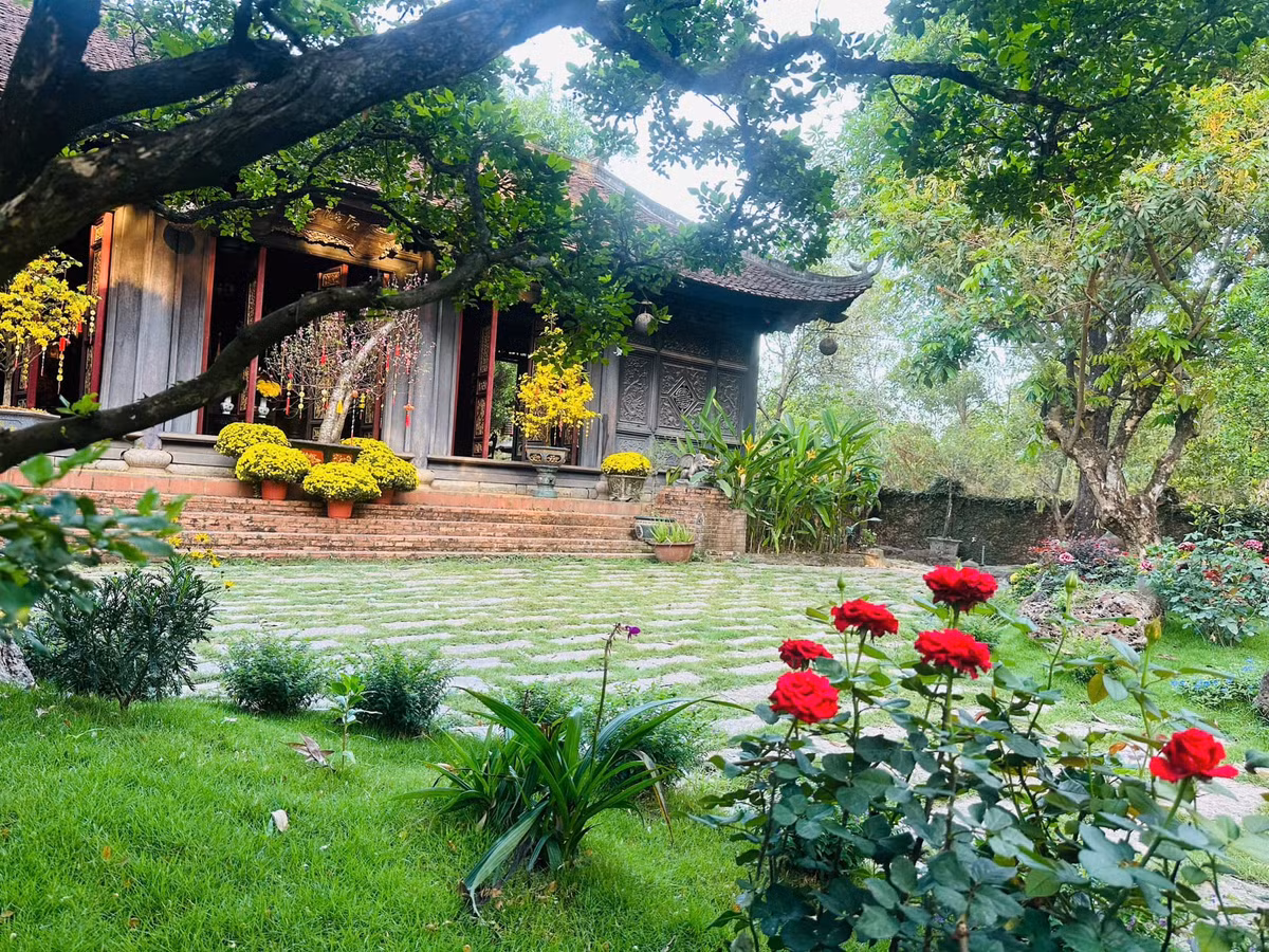 Biệt phủ của Hoàng Mập tràn ngập cây xanh và đều do chính nam danh hài cùng người thân trong nhà tự tay trồng, chăm sóc, vun xới. Ảnh: FB Hoàng Minh Bùi