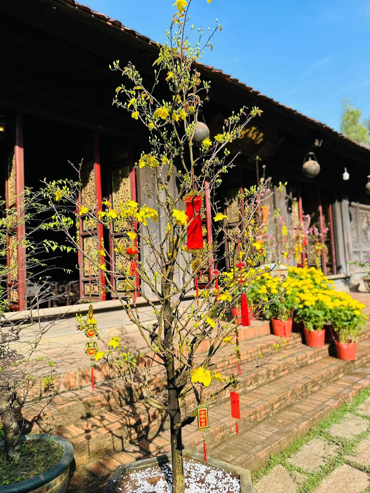 Vừa qua, Hoàng Mập cùng gia đình đón Tết ấm cúng và an yên trong căn biệt phủ ở Đồng Nai. Ảnh: FB Hoàng Minh Bùi