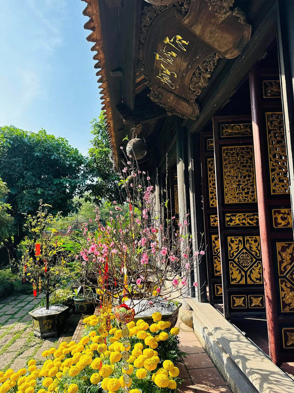 Căn nhà rực rỡ các loại hoa như mai, đào...Ảnh: FB Hoàng Minh Bùi