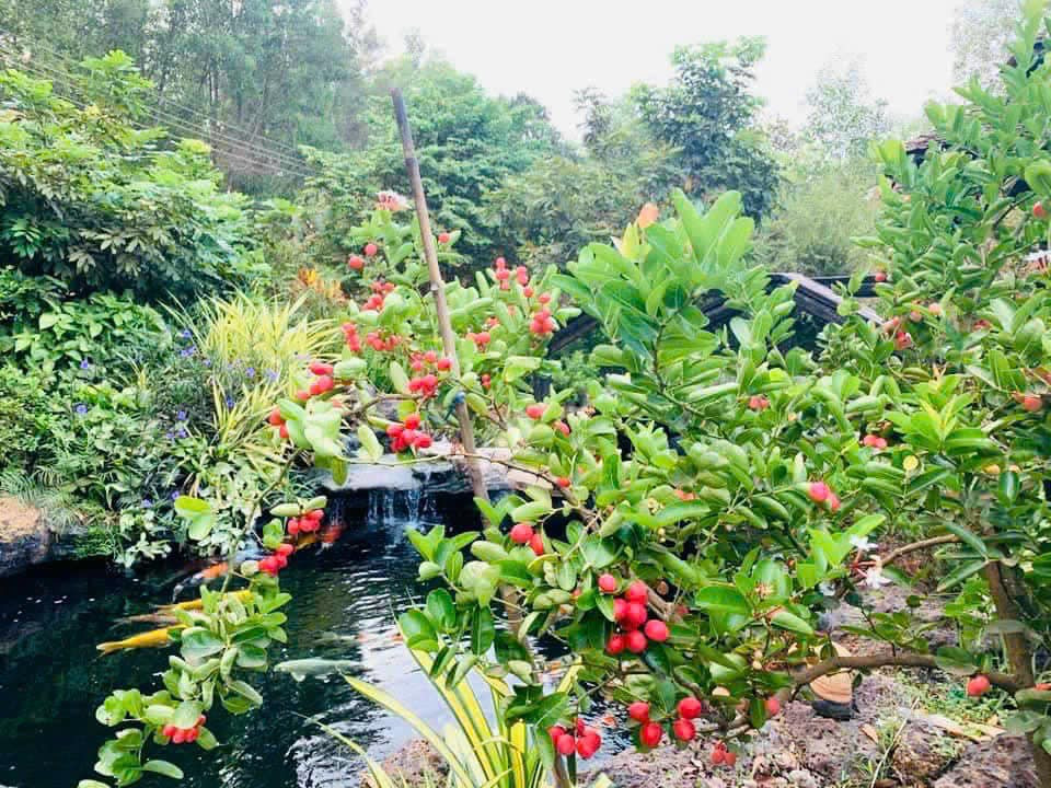 Những lúc căng thẳng, mệt mỏi, Hoàng Mập về biệt phủ ở Đồng Nai để cân bằng cảm xúc và nạp năng lượng cho mình. Ảnh: FB Hoàng Minh Bùi