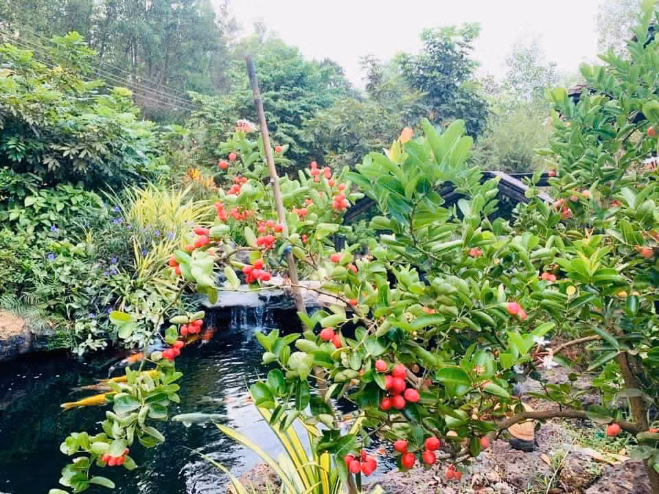 Những lúc căng thẳng, mệt mỏi, Hoàng Mập về biệt phủ ở Đồng Nai để cân bằng cảm xúc và nạp năng lượng cho mình. Ảnh: FB Hoàng Minh Bùi