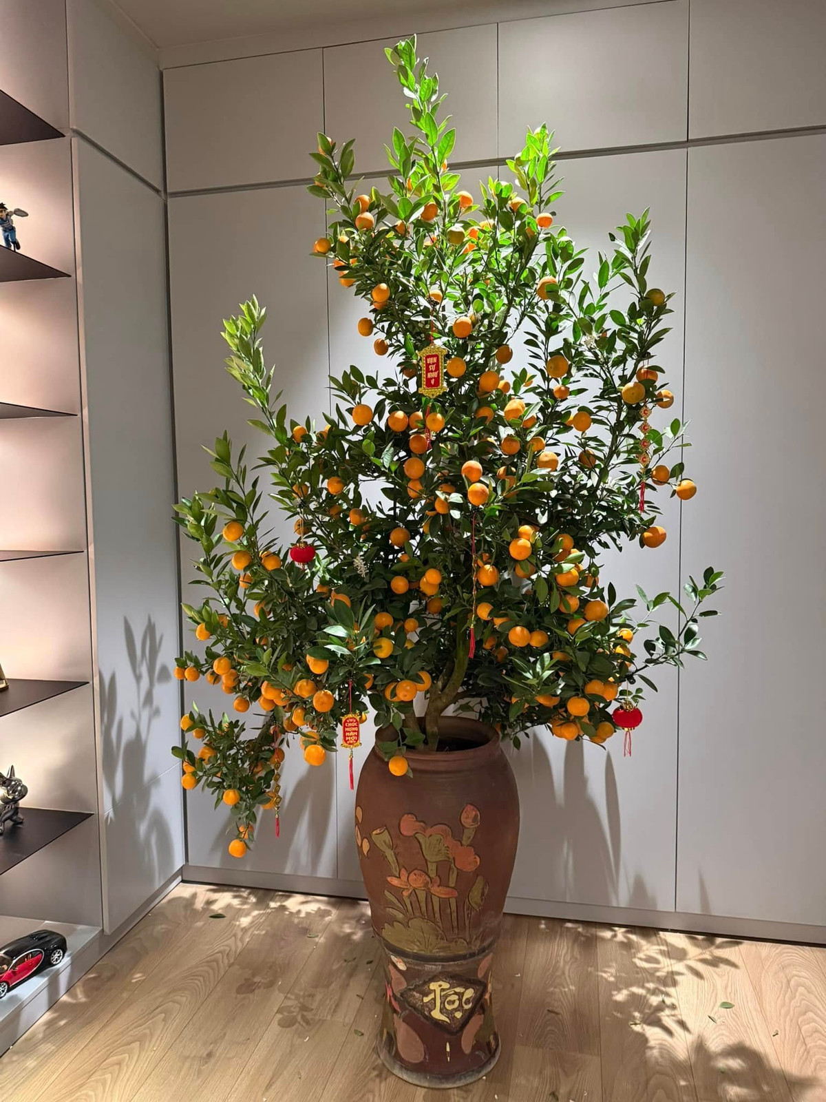 Quất bình vàng rực một góc nhà. Ảnh: FBNV