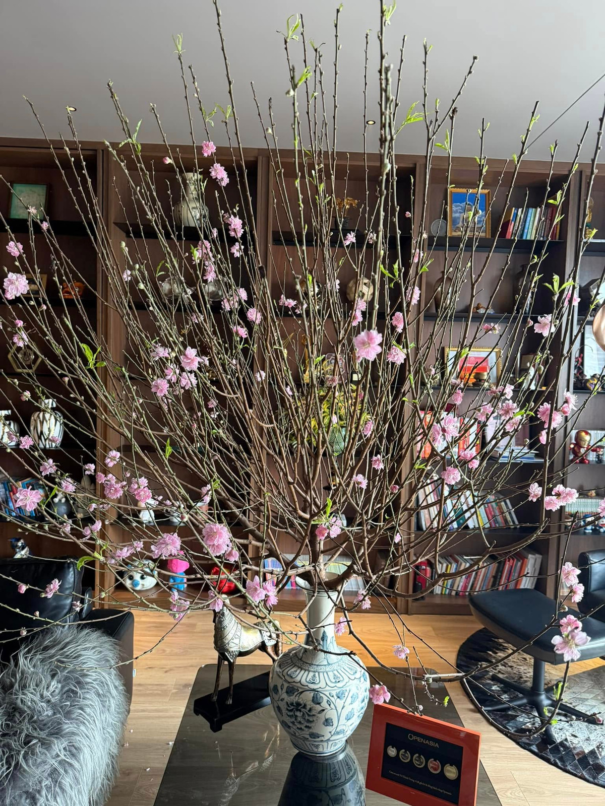 Cành đào bung nở rực rỡ tô điểm cho phòng khách. Ảnh: FBNV