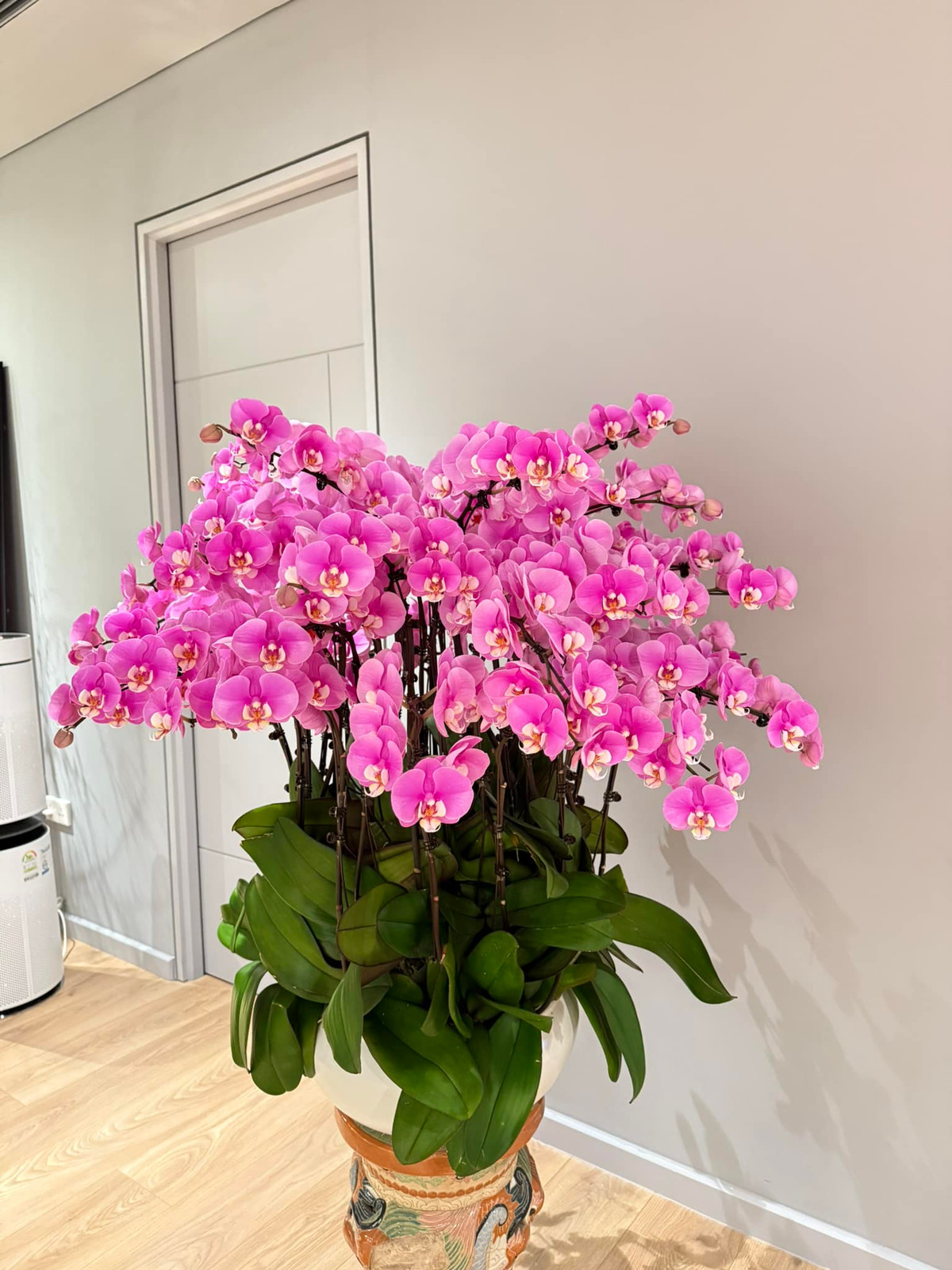 Căn hộ của MC Thành Trung tràn ngập sắc xuân với đủ loại hoa truyền thống ngày Tết như lan, đào, quất...Ảnh: FBNV