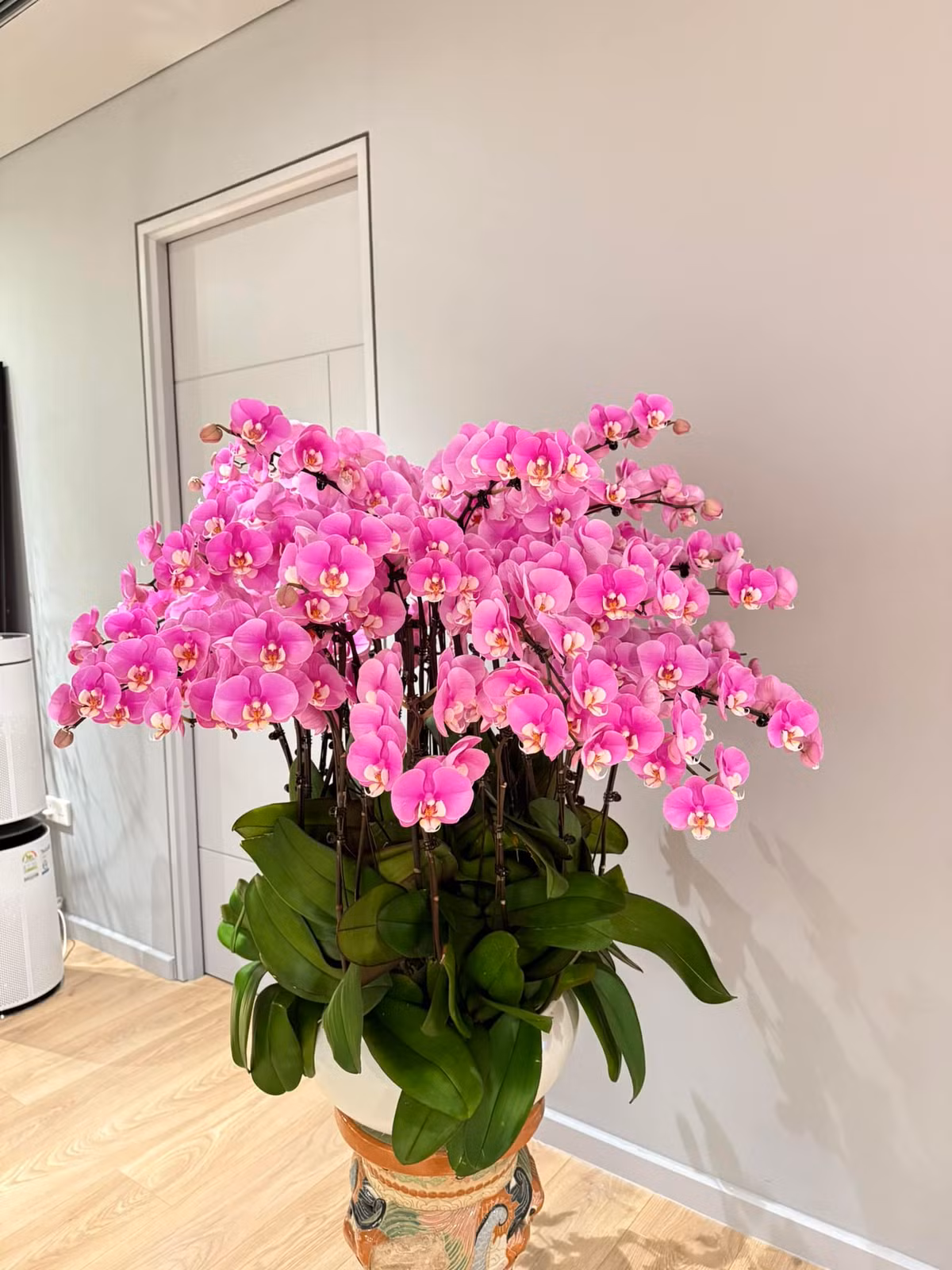 Căn hộ của MC Thành Trung tràn ngập sắc xuân với đủ loại hoa truyền thống ngày Tết như lan, đào, quất...Ảnh: FBNV