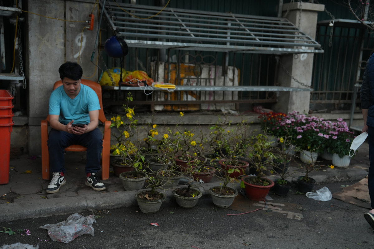 Những chậu mai bonsai cũng được bày bán. Ảnh: Khánh Huy