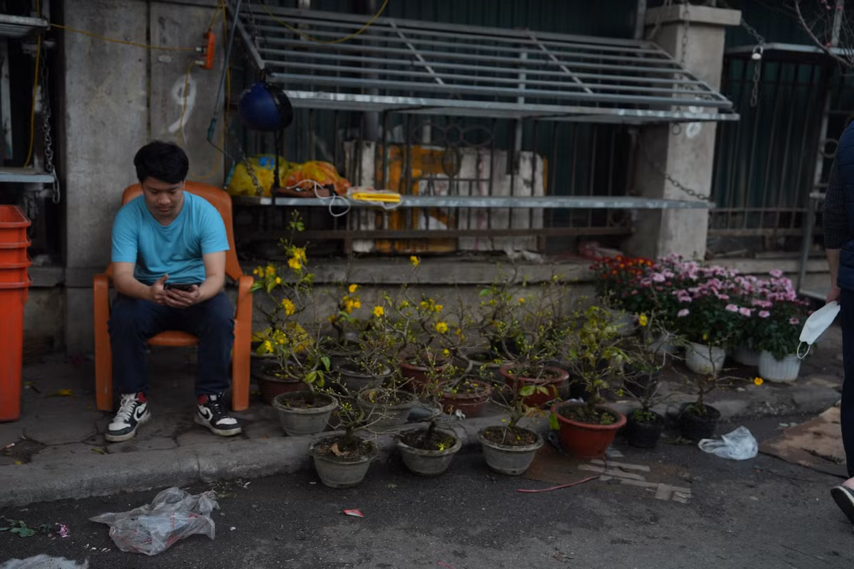 Những chậu mai bonsai cũng được bày bán. Ảnh: Khánh Huy