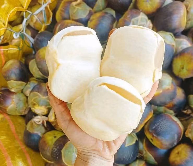 Trong khi đó, tại ‏‏Miami‏ (Mỹ), khách hàng phải chi hơn 2 triệu đồng mới mua được 4 quả thốt nốt đông lạnh. Ảnh: Internet