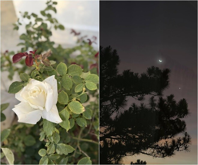 Góc view vô cùng thơ mộng của ngôi nhà. Ảnh: FBNV