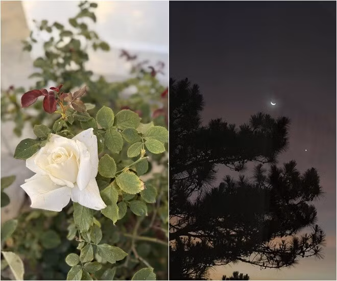 Góc view vô cùng thơ mộng của ngôi nhà. Ảnh: FBNV