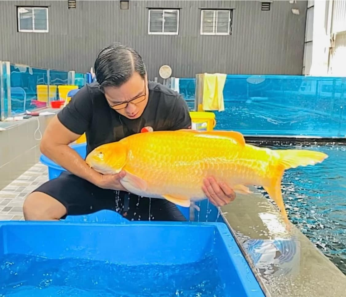 Doanh nhân Thắng Ngô tên đầy đủ Ngô Văn Thắng (SN 1975), từng là chủ sở hữu kiêm Giám đốc thương hiệu của một trang trại cá Koi nổi tiếng tại Việt Nam. Ảnh: FB Thang Ngo Koi Farm