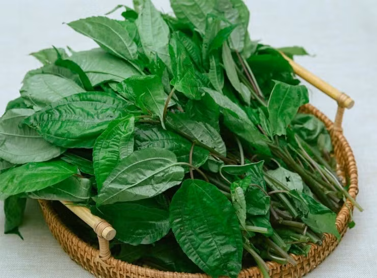 Ngày nay, tại các phiên chợ vùng cao, pạ phì được bán với giá khoảng 50.000 đồng/kg. Trên chợ mạng, một số nơi bán pạ phì khoảng 80.000 đồng/kg. Ảnh: Internet